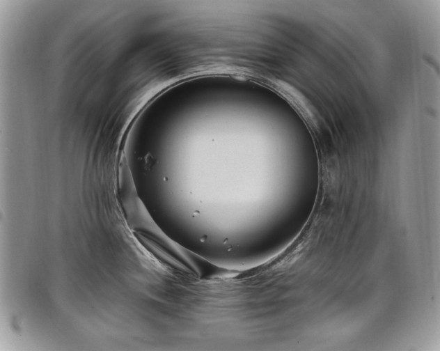 X0000098031244200803281401