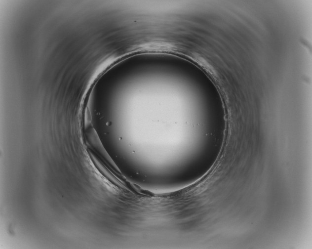 X0000098031248200803281401