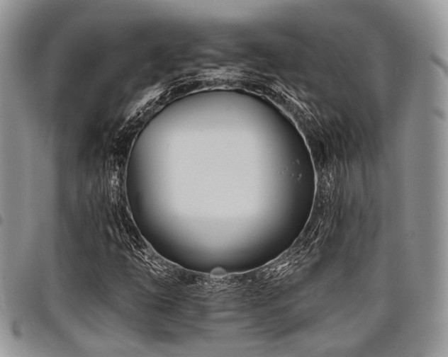 X0000098031254200803281401
