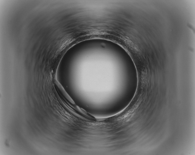 X0000098031257200803281400