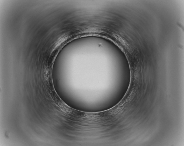 X0000098031258200803281400