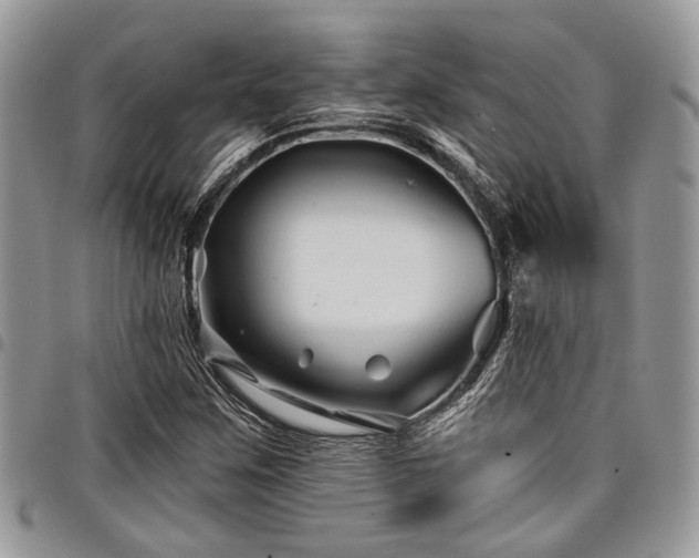 X0000098031259200803281400