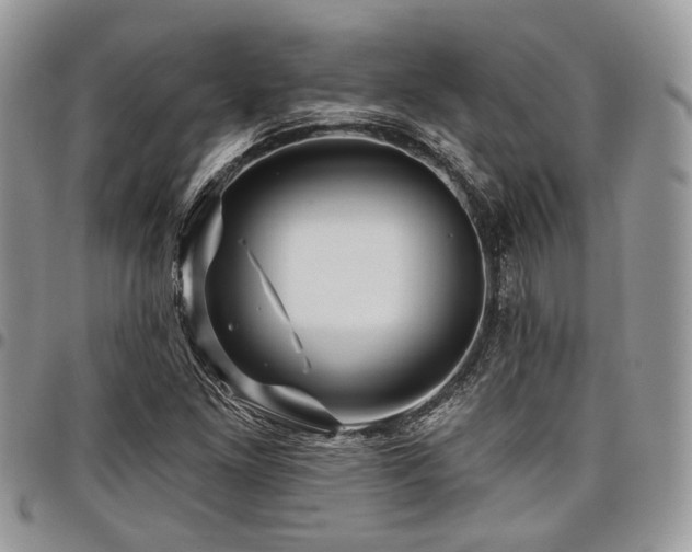 X0000098031261200803281400