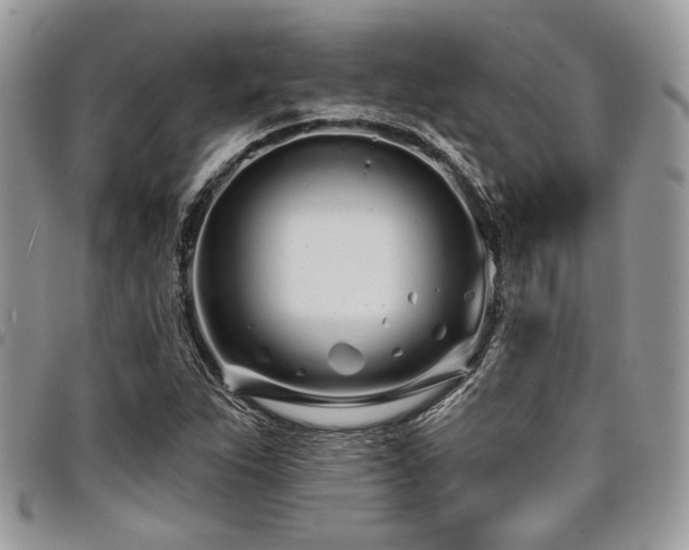 X0000098031263200803281400