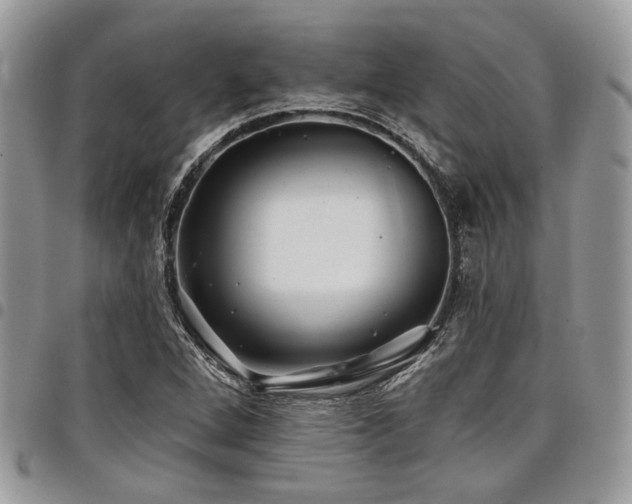 X0000098031264200803281400