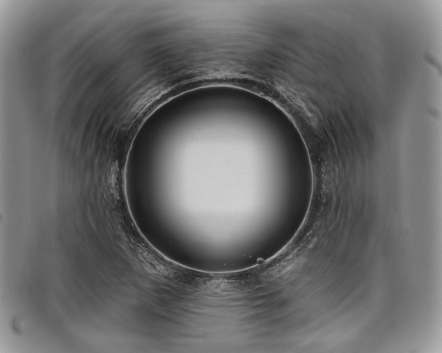 X0000098031265200803281400