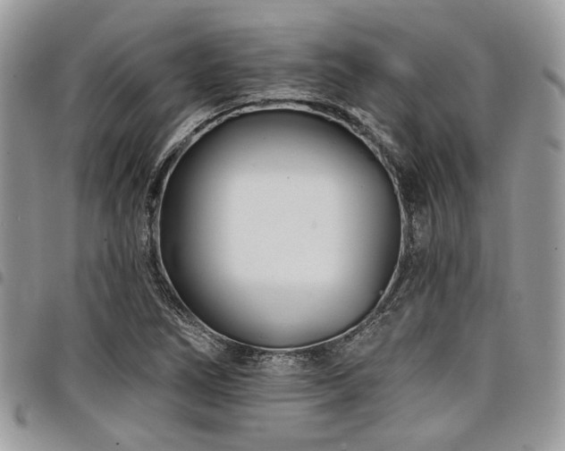 X0000098031266200803281400
