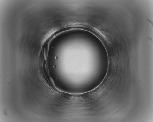 X0000098031269200803281400