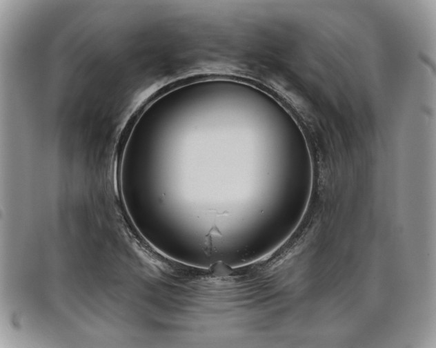 X0000098031272200803281400