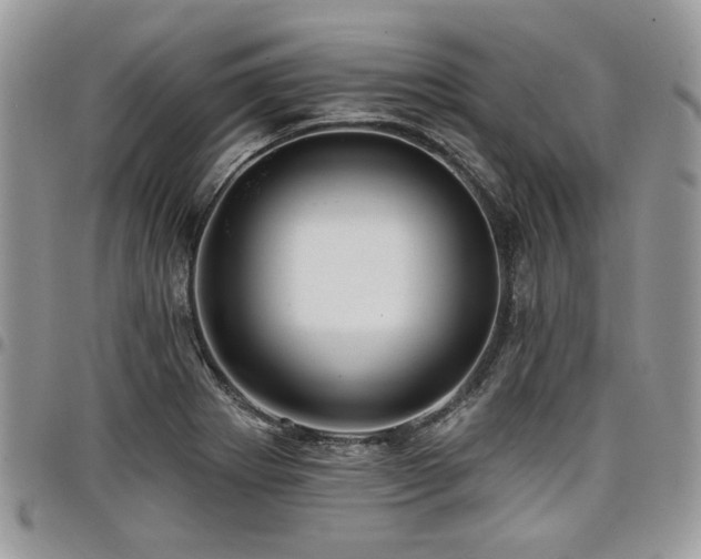 X0000098031273200803281400