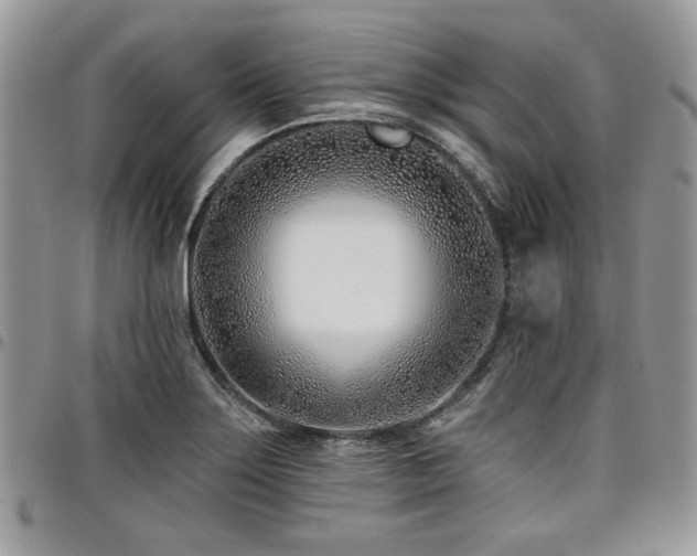 X0000098031275200803281400