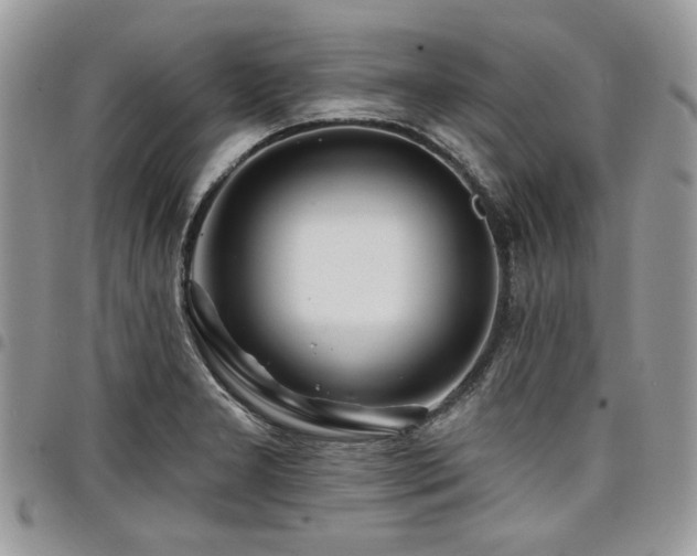 X0000098031277200803281400