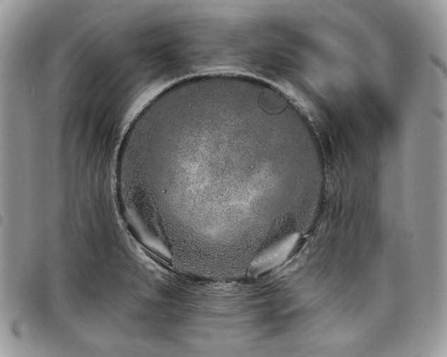 X0000098031279200803281400
