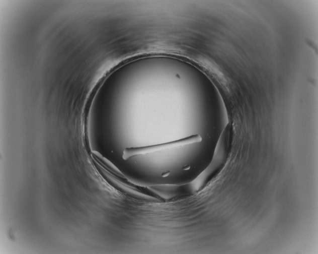 X0000098031280200803281400