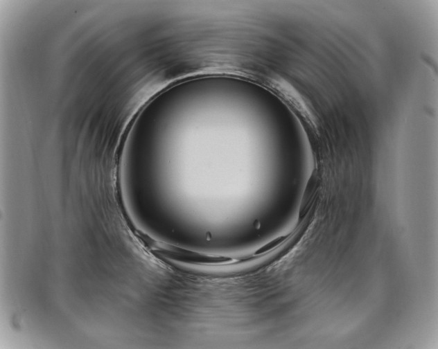 X0000098031284200803281400
