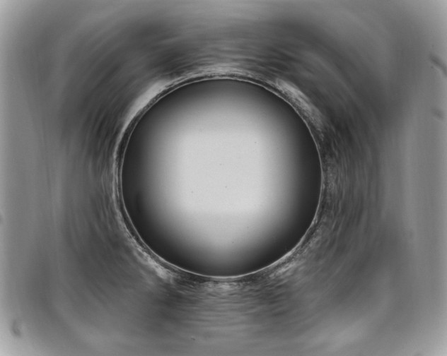X0000098031286200803281400
