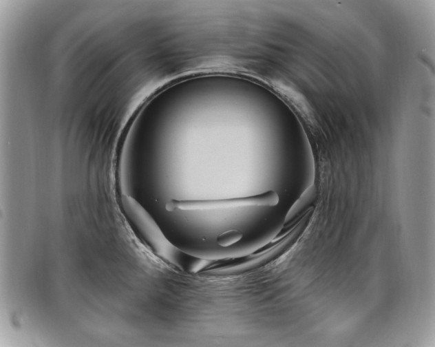 X0000098031288200803281400