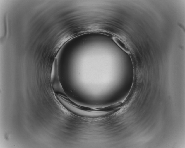 X0000098031289200803281400