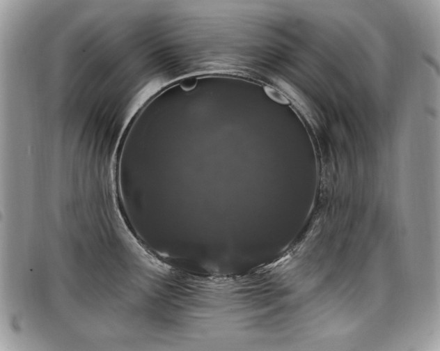 X0000098031291200803281400