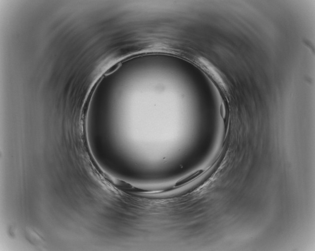 X0000098031292200803281400