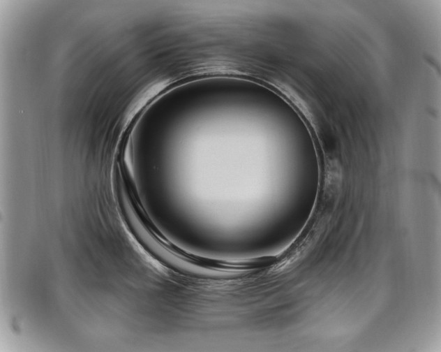 X0000098031293200803281400
