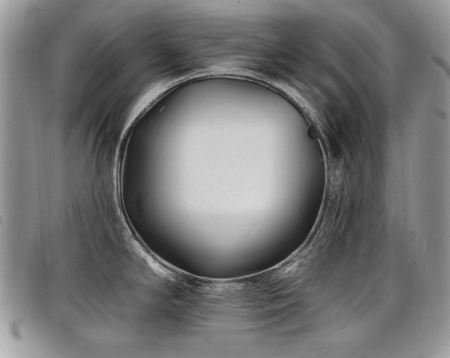X0000098031294200803281400