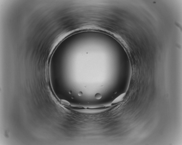 X0000098031295200803281400