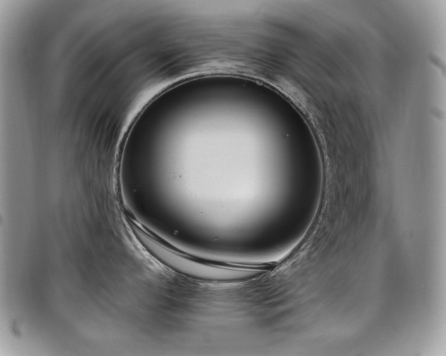X0000098031296200803281400