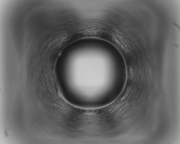 X0000098031297200803281359