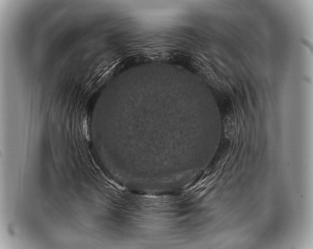 X0000098031298200803281359