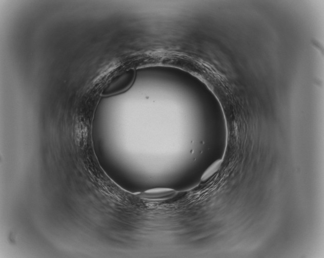 X0000098031302200803281359