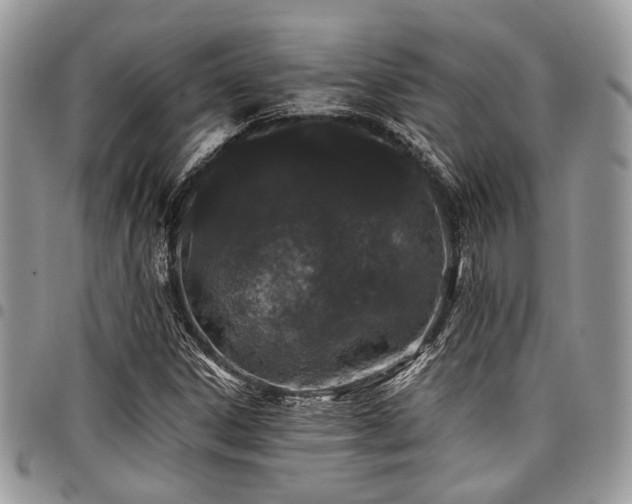 X0000098031306200803281359