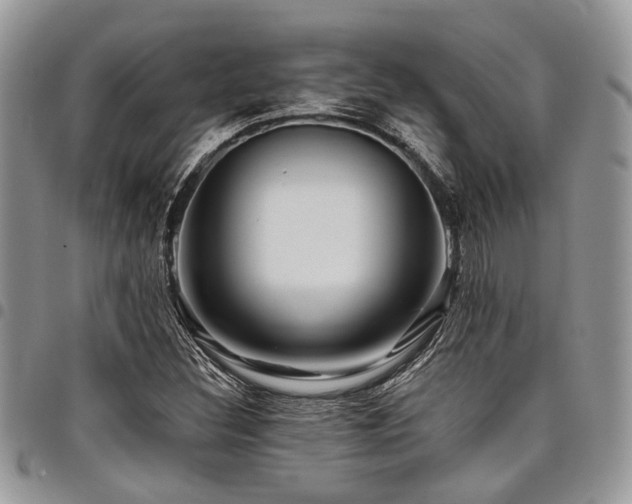 X0000098031308200803281359