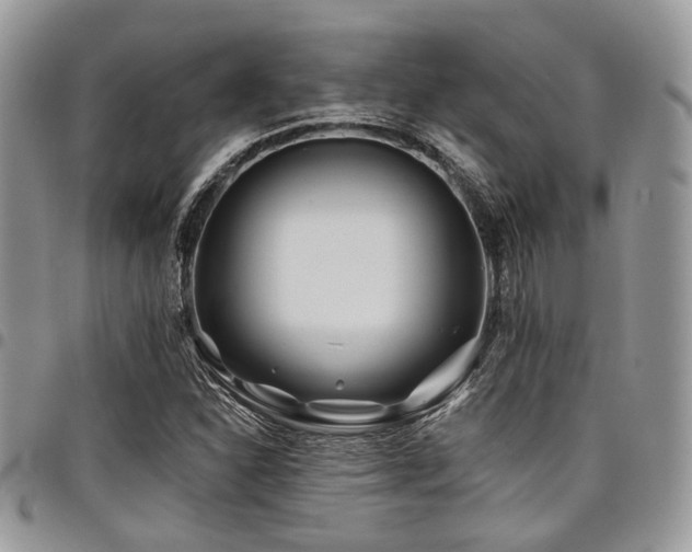 X0000098031310200803281359