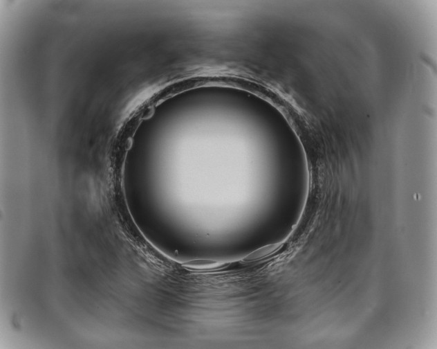 X0000098031311200803281359