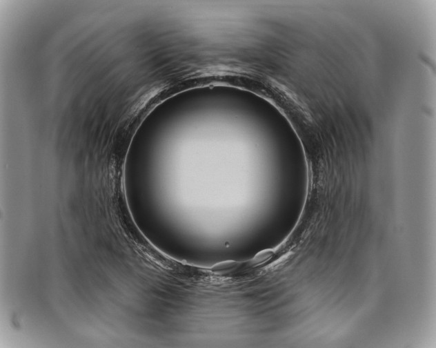 X0000098031313200803281359