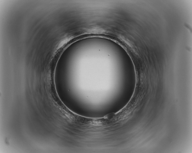 X0000098031315200803281359
