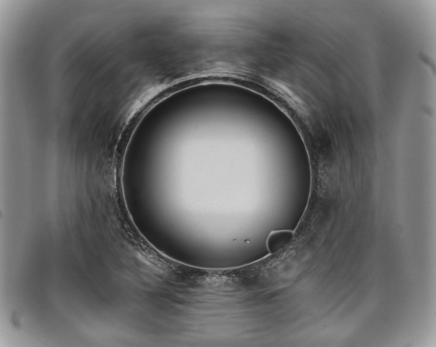 X0000098031316200803281400