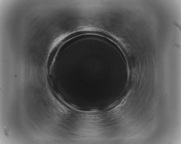 X0000098031319200803281400