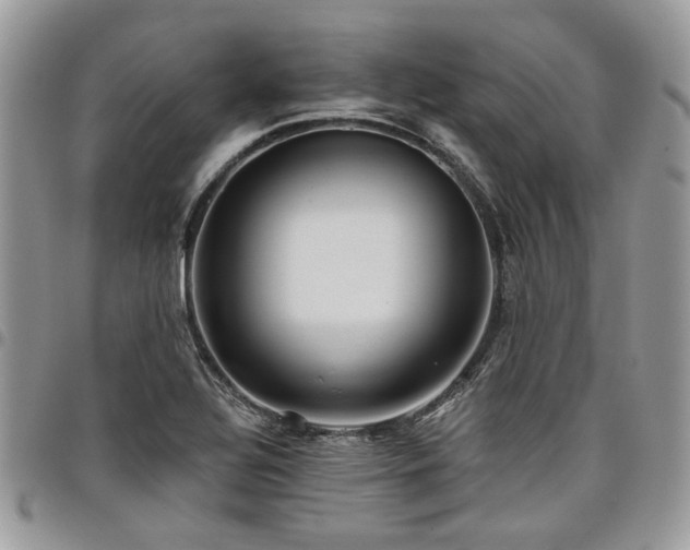 X0000098031320200803281400