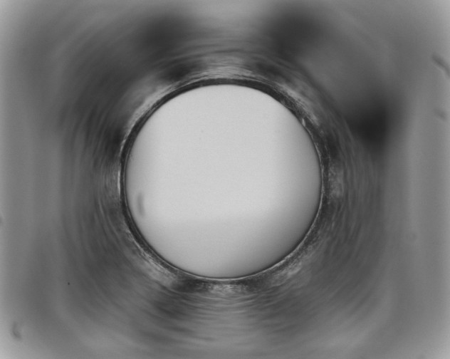 X0000098031322200803281400