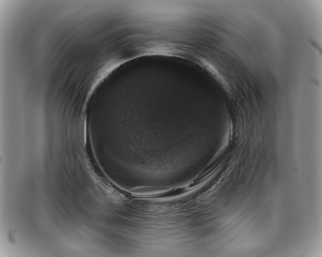 X0000098031323200803281400