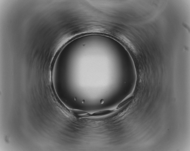 X0000098031324200803281400