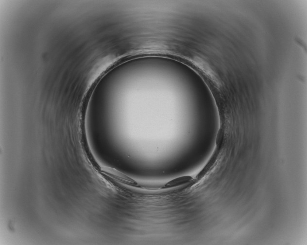X0000098031325200803281400