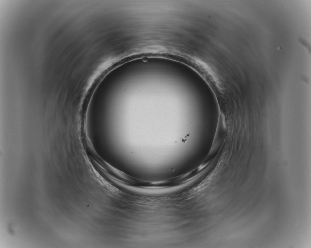 X0000098031326200803281400