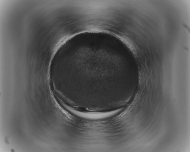 X0000098031327200803281400