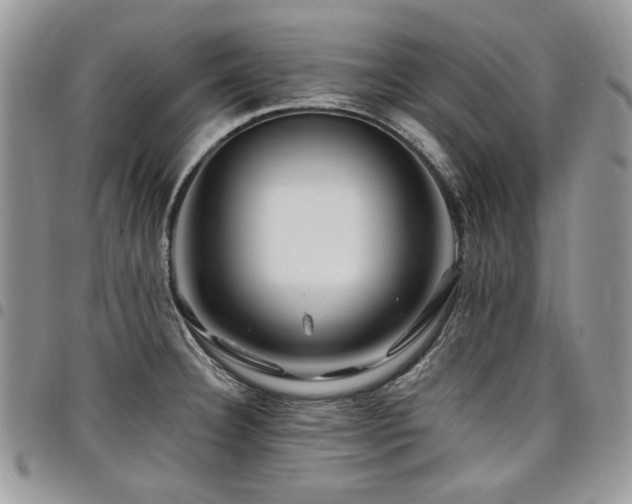 X0000098031332200803281400
