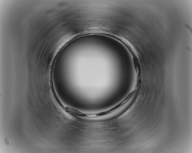 X0000098031333200803281400