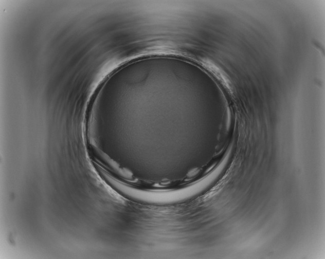 X0000098031334200803281400