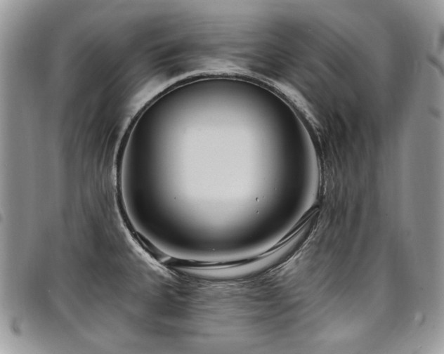 X0000098031335200803281400